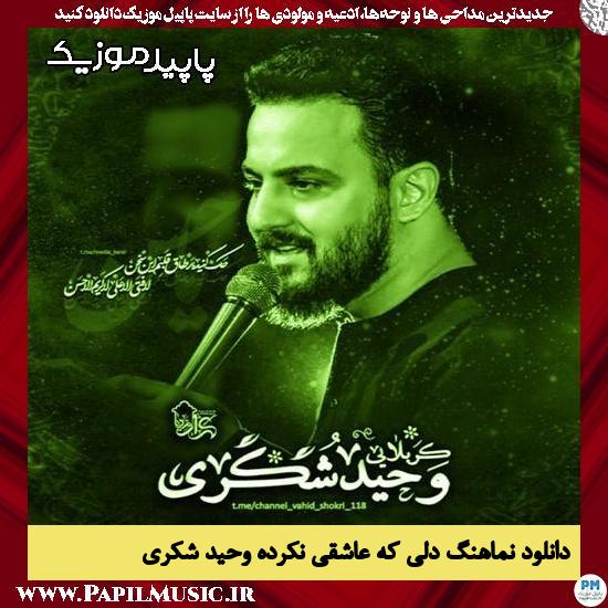 دانلود آهنگ دلی که عاشقی نکرده از وحید شکری